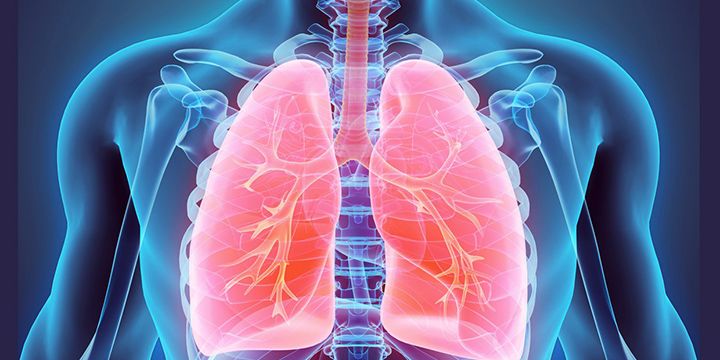 10 iznenađujućih činjenica o plućima