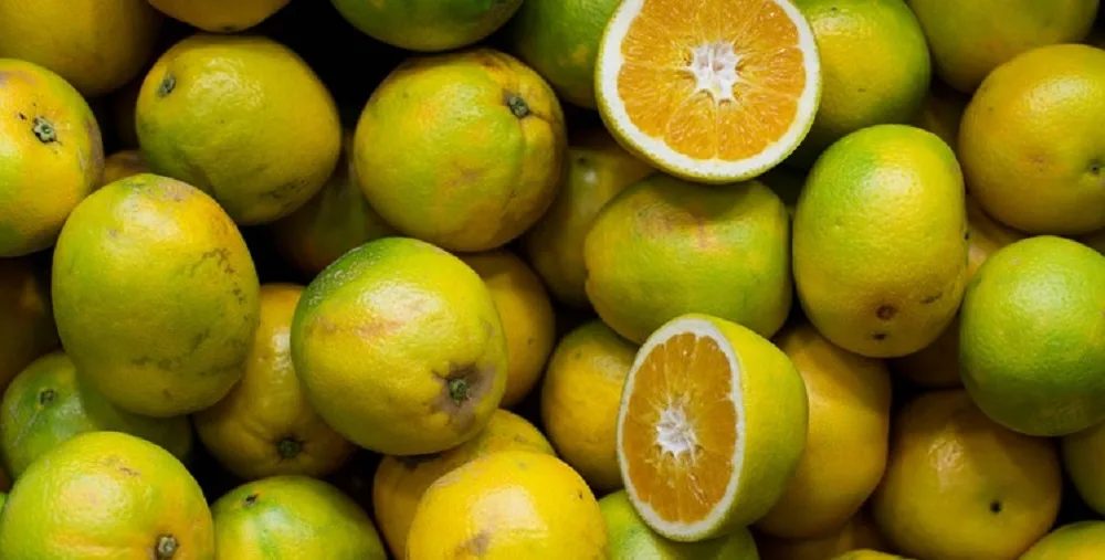 Evo kada je najbolje da tokom dana unosite vitamin C