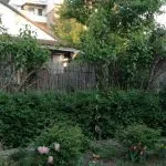 Žena na ivici nervnog sloma: Ljudi iz vode