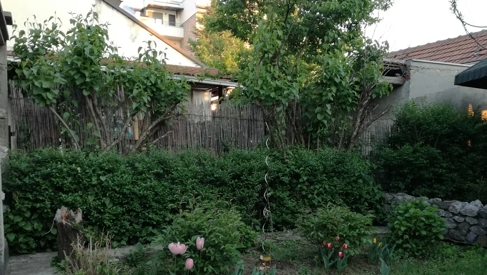 Žena na ivici nervnog sloma: Ljudi iz vode