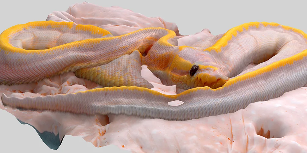 Emir Esh Šehanović – Umetnik koji želi sebe da iznenadi