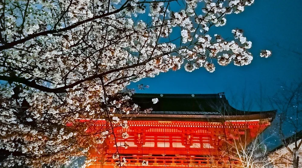 Kamera Huawei P30 Lite telefona od 48MP – prevazilazi stvarnost, transformiše fotografiju