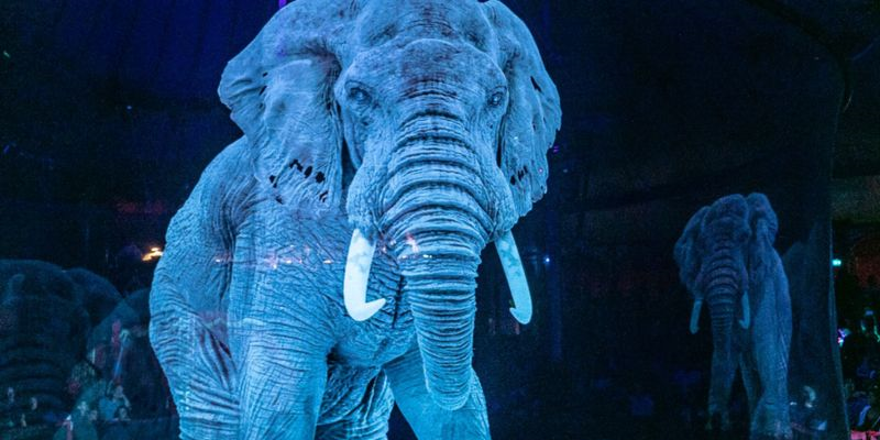 Nemački cirkus koristi 3D holograme umesto pravih životinja