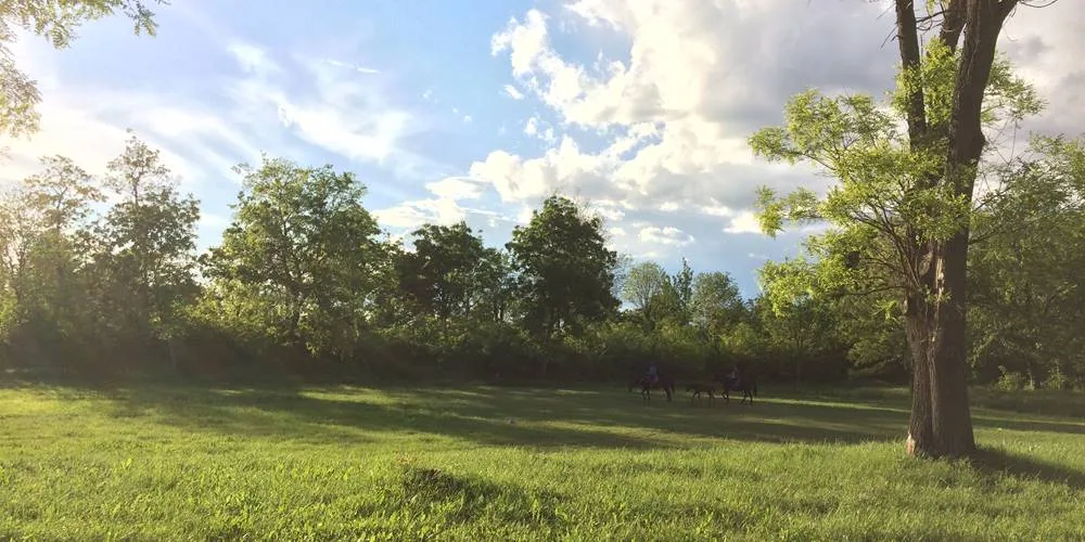 Letnje avanture u Vojvodini