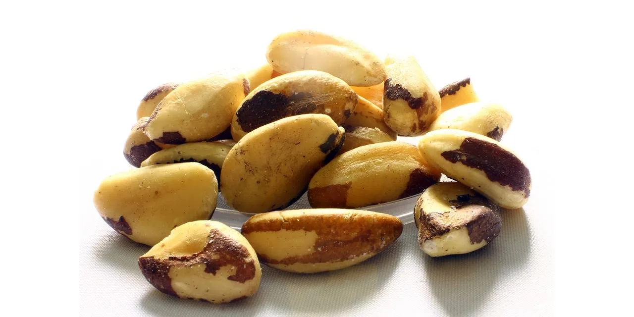 5 namirnica koje ubrzavaju metabolizam