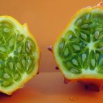 Egzotično voće: Ukus dalekih krajeva