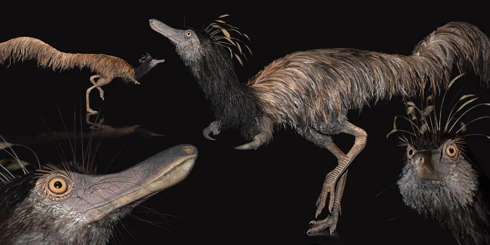 Boban Filipović: Paleoumetnik koji dinosauruse vraća u život