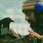 15 najboljih filmova u poslednjih pet godina