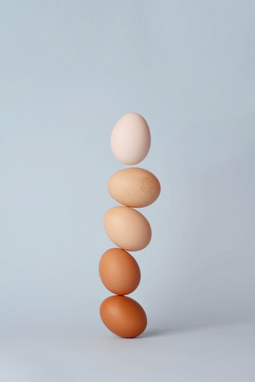 Kako da razlikujete obično od organskog jajeta