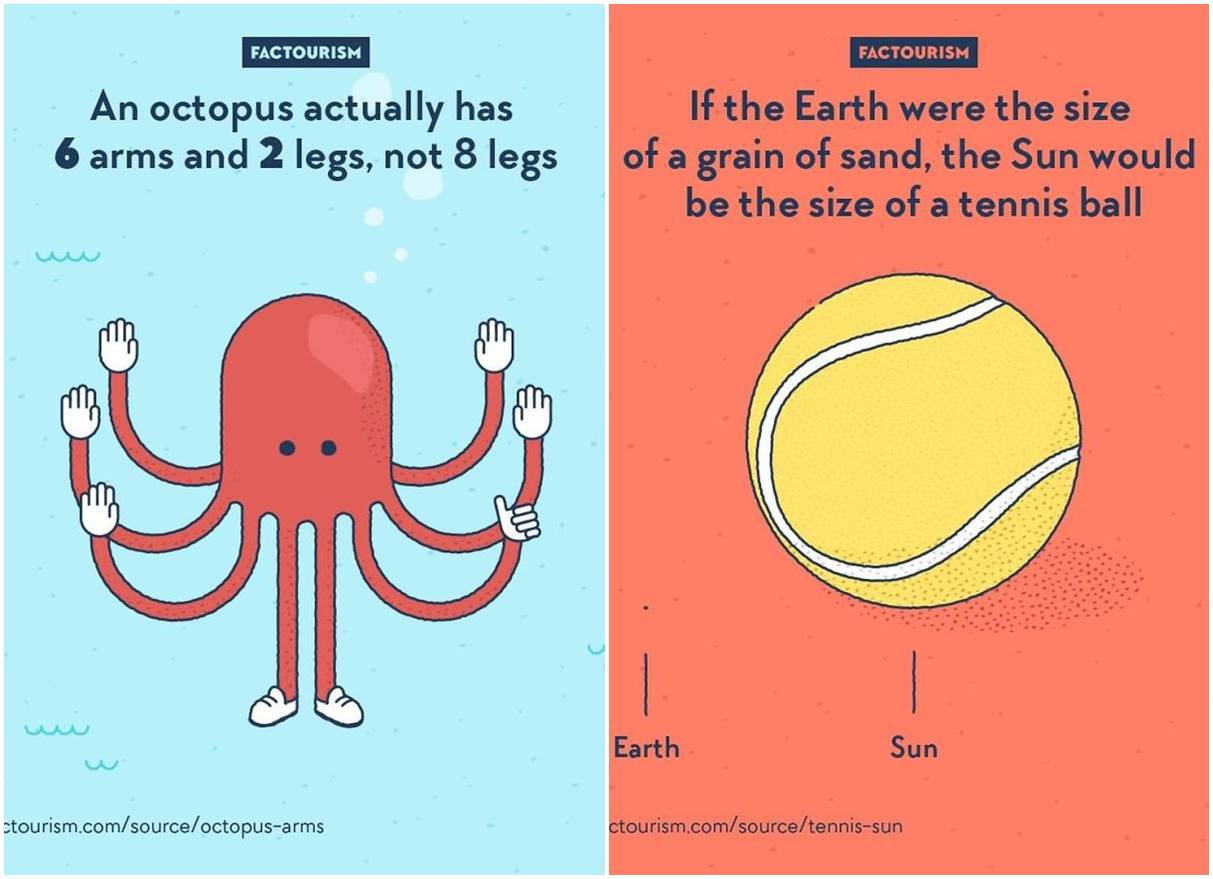 Zanimljive činjenice predstavljene na zabavnim ilustracijama
