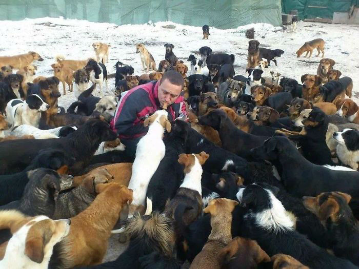 Ovaj Nišlija udomljava čak 750 pasa i traži vašu podršku