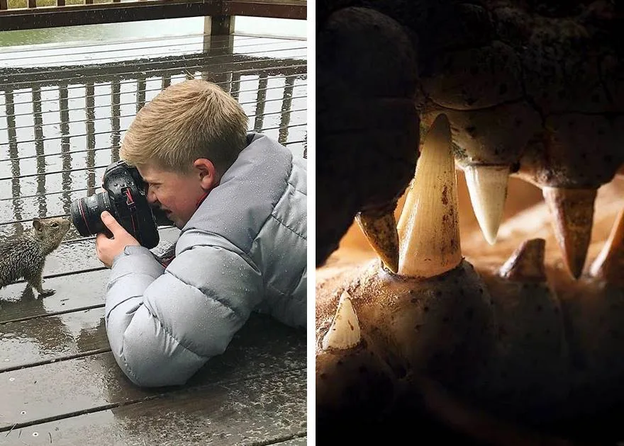 Sin Stiva Irvina je nagrađivani fotograf životinja