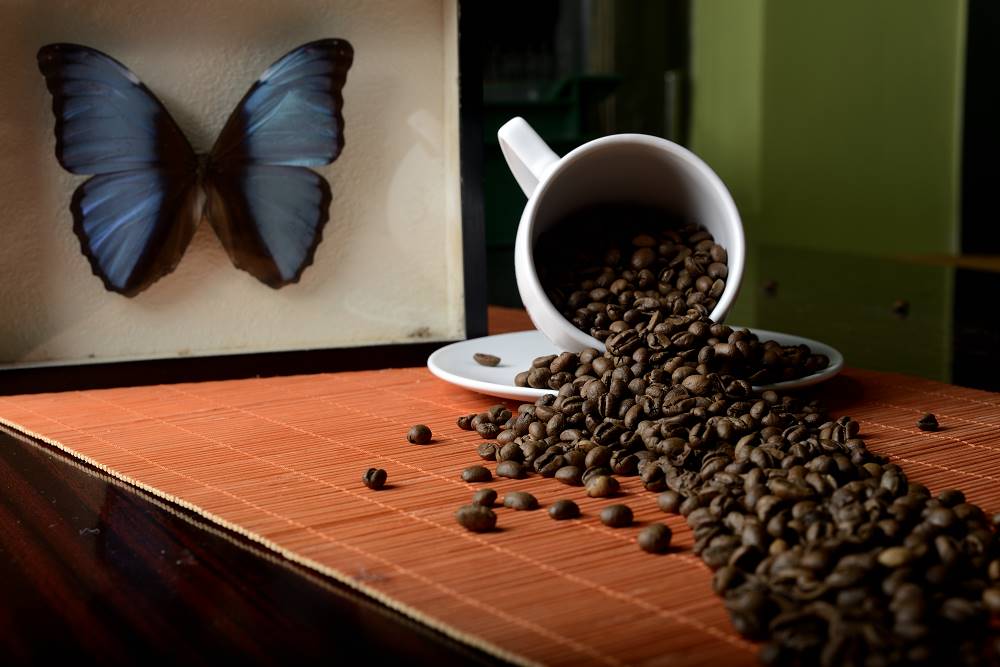 Od plantaže do kesice: Značaj pravilne prerade zrna za pun ukus domaće kafe