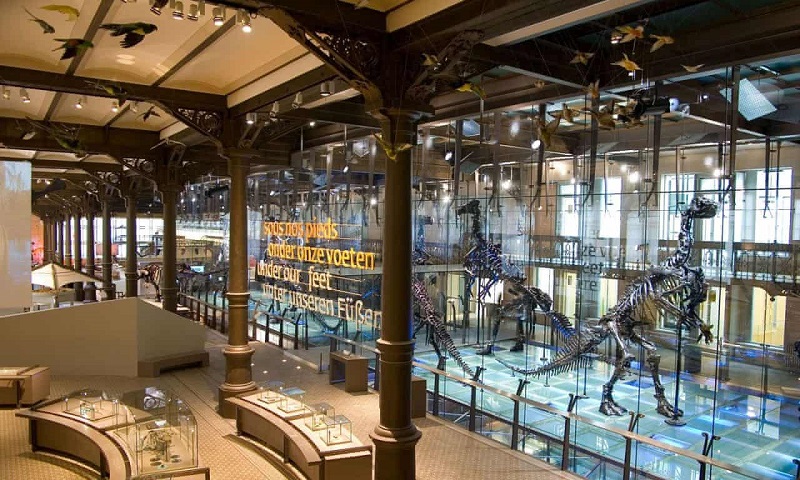 Najbolji gradski muzeji u Evropi