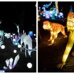 Kineski festival svetla u Beogradu i Novom Sadu