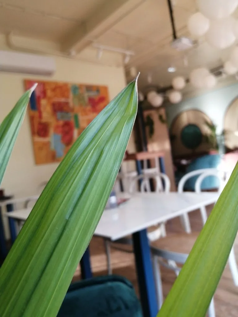 Tapet Caffe: Pažljiv odabir pića i inspirativni enterijer