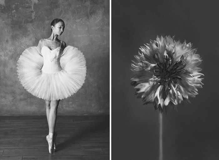 Balerine i cveće: Neverovatna kolekcija fotografija