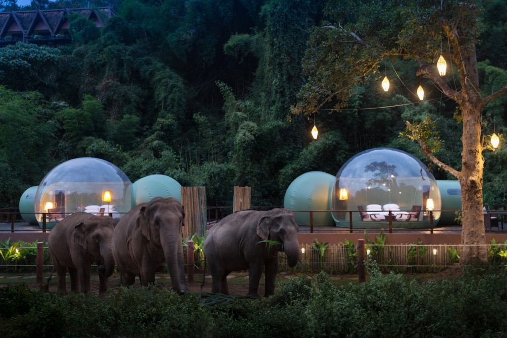 Provedite noć u društvu slonova na Tajlandu