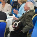 Ljubimci za pregovaračkim stolom: Predsednik Irske je uvek u društvu svojih pasa