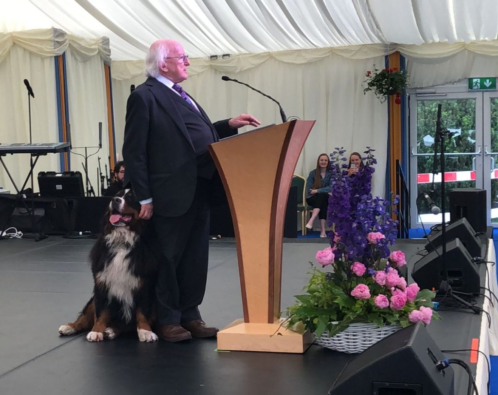 Ljubimci za pregovaračkim stolom: Predsednik Irske je uvek u društvu svojih pasa