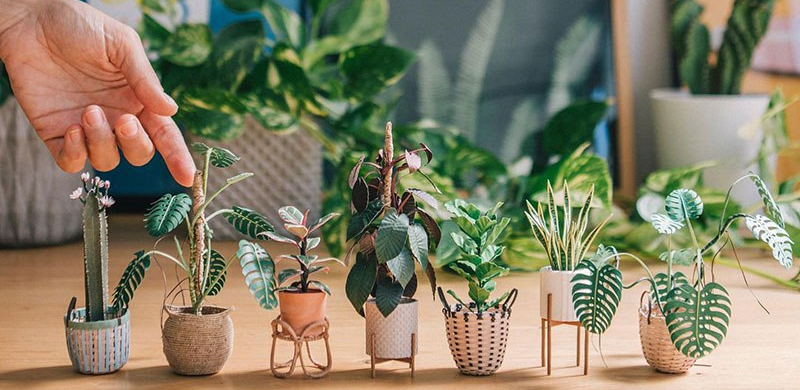 Nova ideja za dekoraciju – minijaturne biljke od papira