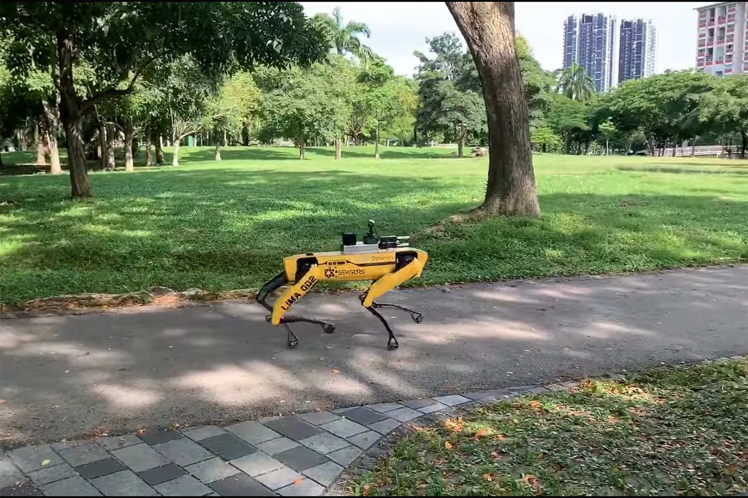 U Singapuru roboti upozoravaju ljude da drže distancu