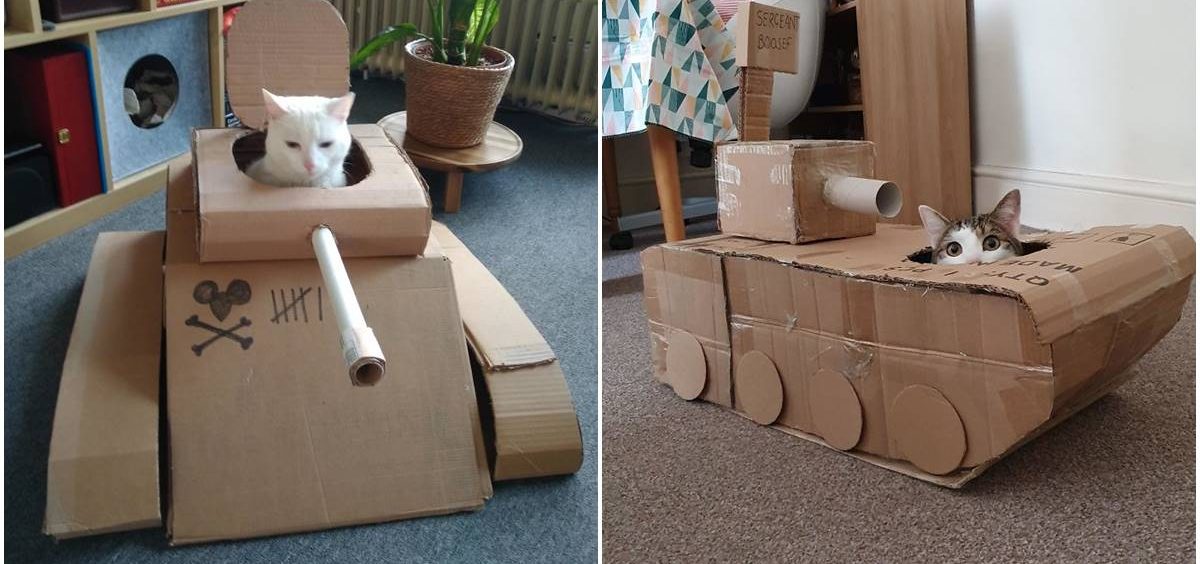 Ljudi su iz dosade počeli da prave kartonske tenkove za svoje mačke