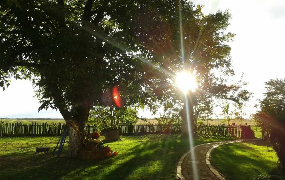 Salaši: Pod dudovima svega na volju