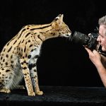 Fotograf kao moderni Noje: Džoel Sartore će uraditi portrete svih životinjskih vrsta koje držimo u zatočeništvu