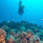 Poznata brodska olupina iz doba antičke Grčke je postala podvodni muzej