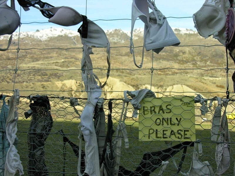 Na Novom Zelandu postoji ograda na koju žene kače svoje brushaltere
