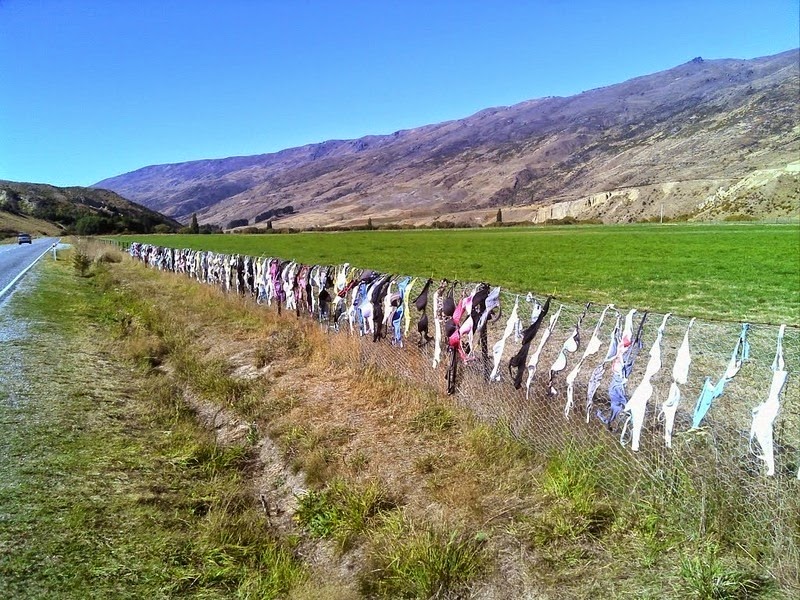 Na Novom Zelandu postoji ograda na koju žene kače svoje brushaltere