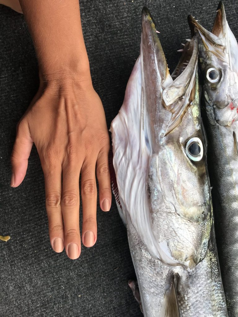 Kikiriki, semenke, sport za zube: Kako ribari dele ulov