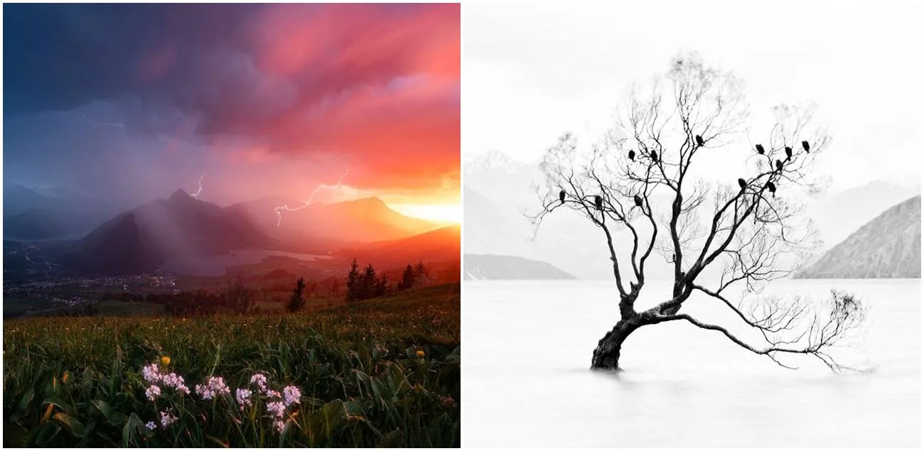 Priroda nikad nije izgledala bolje nego na ovim nagrađenim fotografijama