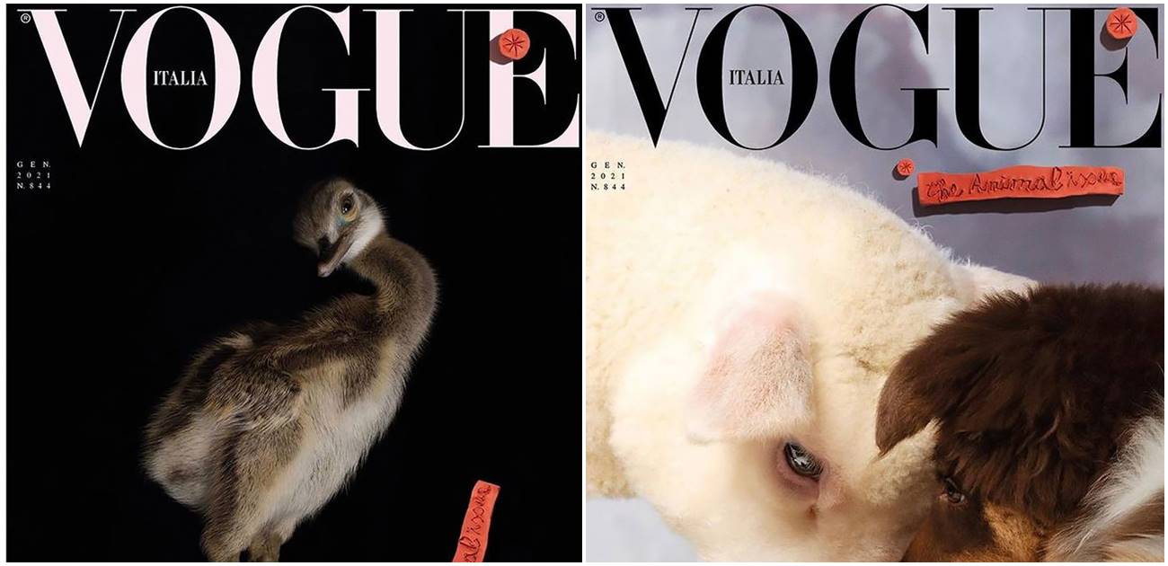 Italijanski Vogue je svoj novi broj posvetio životinjama