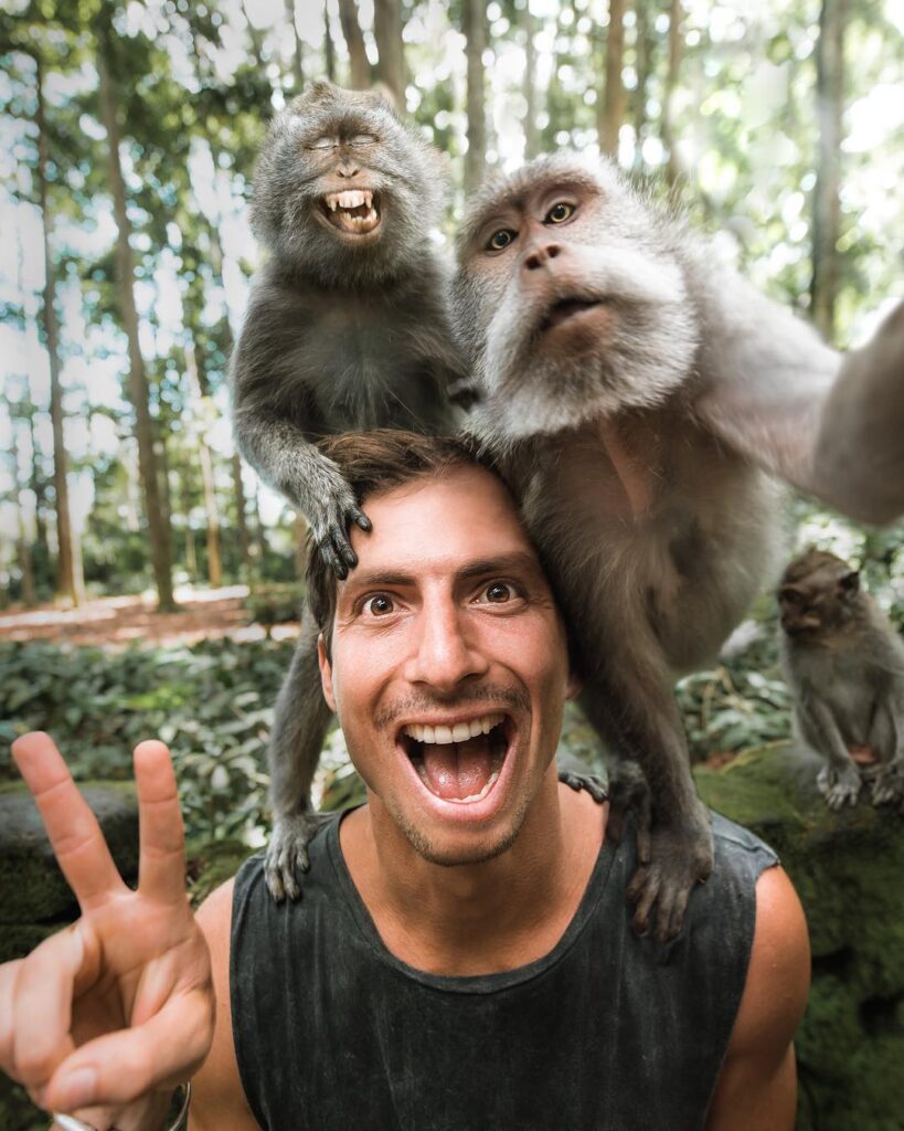 Nepoželjni selfiji: Fotografisanje sa divljim životinjama osujećuje borbu za njihovo očuvanje