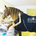 Konj pruža utehu teškim bolesnicima u jednoj francuskoj bolnici