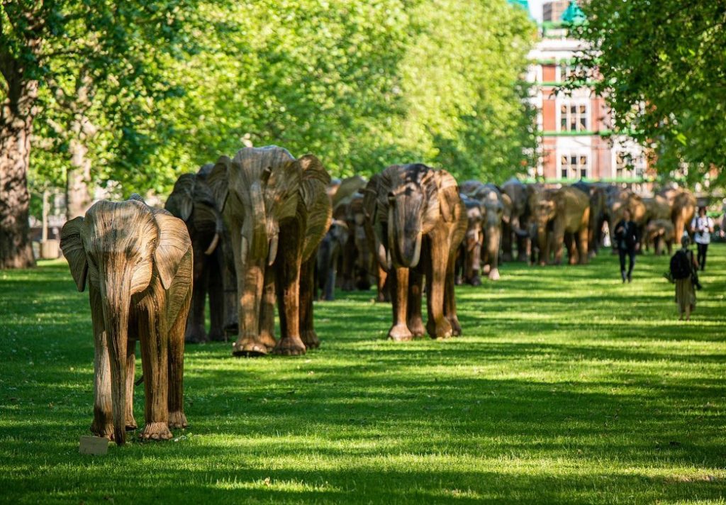 Krda slonova zauzela su lokacije u Londonu