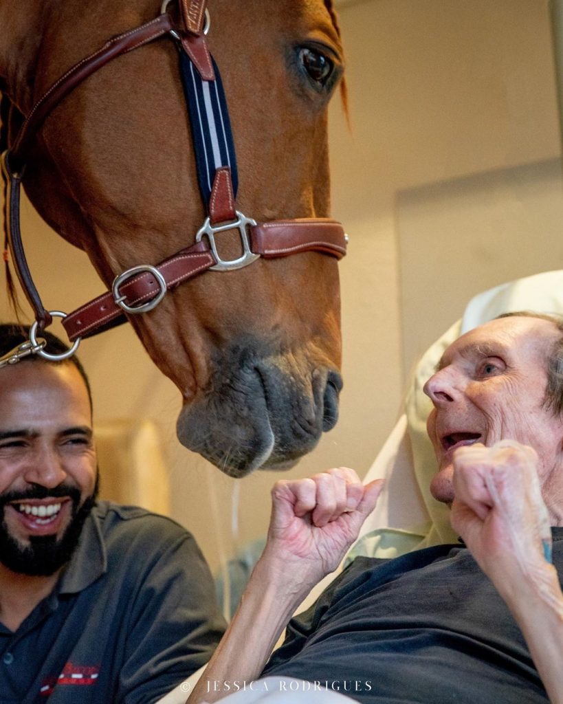 Konj pruža utehu teškim bolesnicima u jednoj francuskoj bolnici