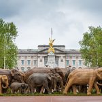 Krda slonova zauzela su lokacije u Londonu