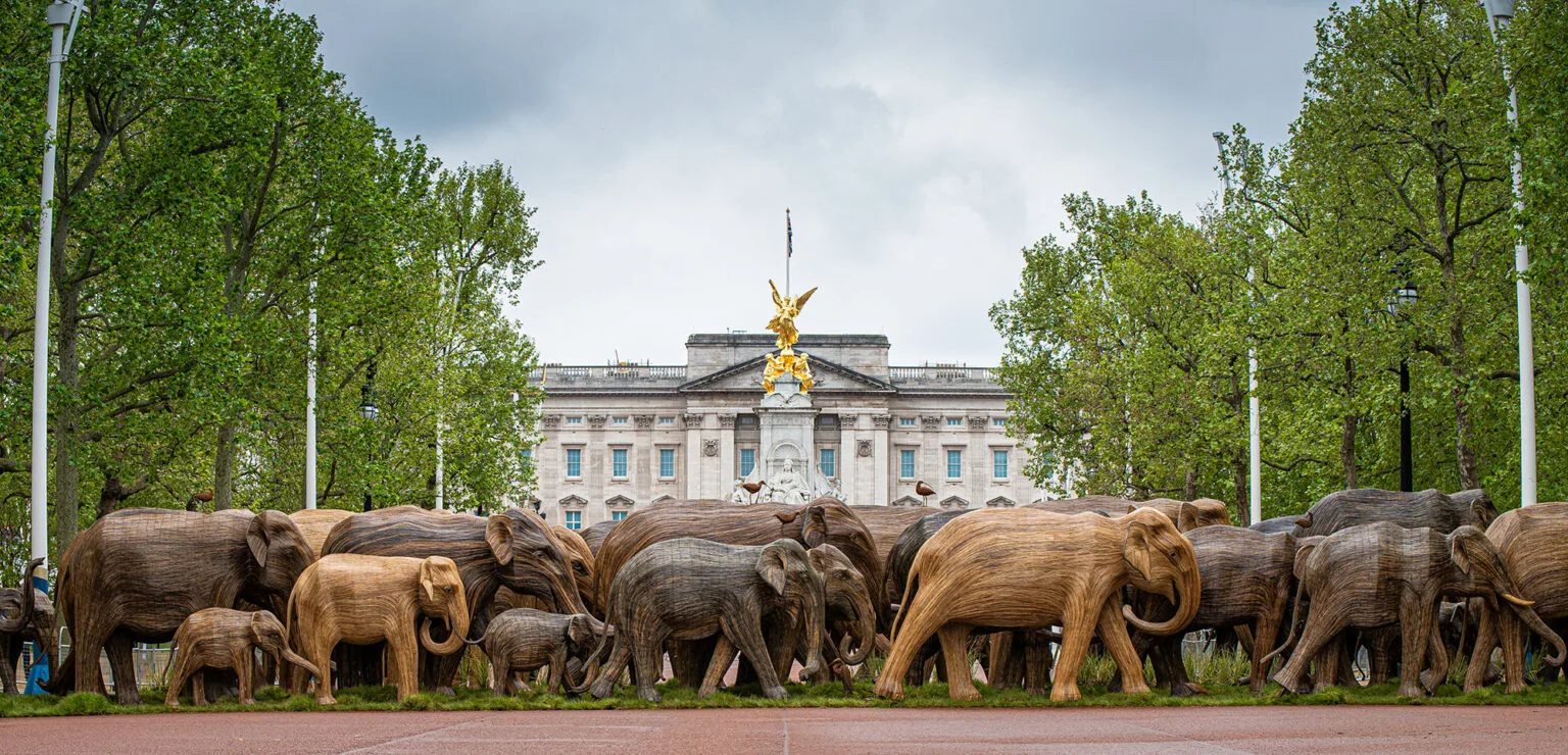 Krda slonova zauzela su lokacije u Londonu