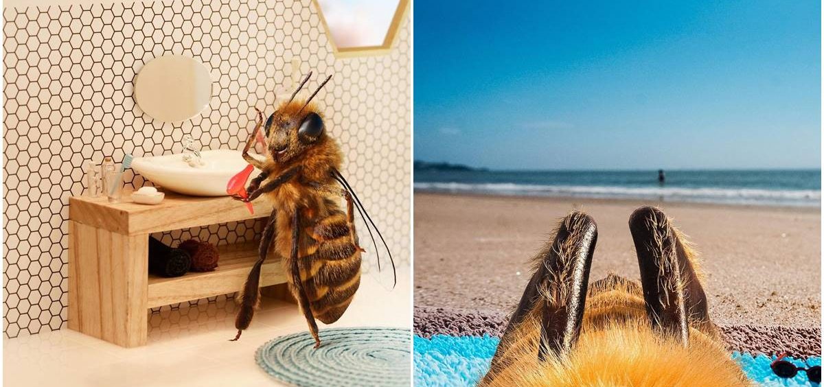 Jedna pčela je postala influenserka na Instagramu
