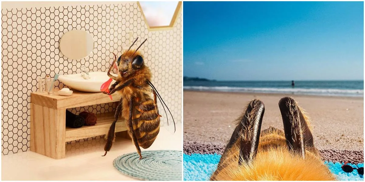 Jedna pčela je postala influenserka na Instagramu