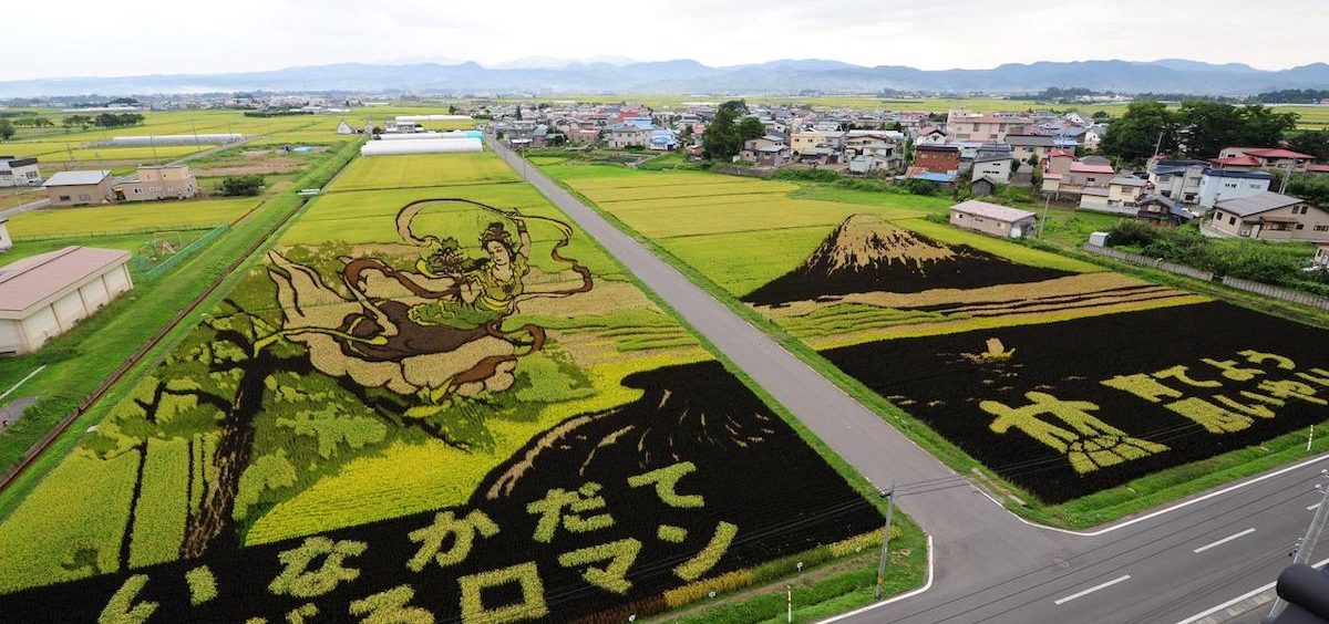 Umetnička dela na poljima pirinča u Japanu