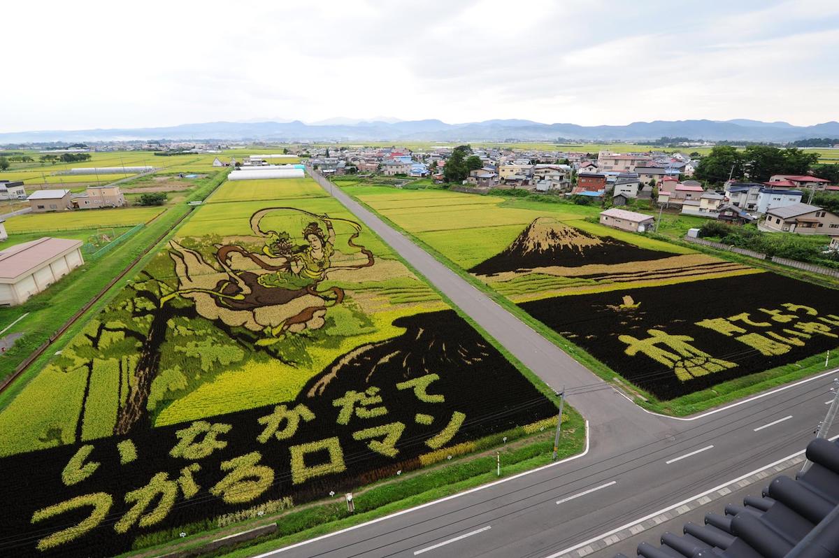 Umetnička dela na poljima pirinča u Japanu