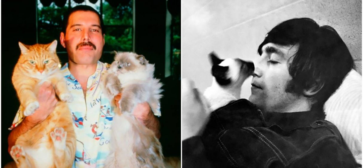 Rok zvezde sa svojim mačkama na retkim fotografijama iz prethodnih dekada
