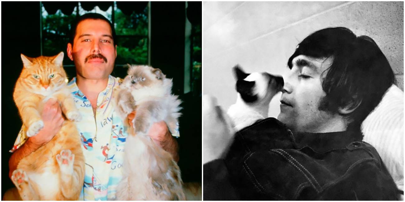 Rok zvezde sa svojim mačkama na retkim fotografijama iz prethodnih dekada