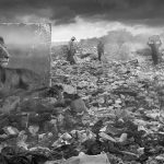 Divljina i fotograf Nik Brant: „Ako ste pametni, zaštita životne sredine i ekonomska korist idu ruku pod ruku“