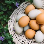 Da li sve vreme pogrešno odlažemo jaja?
