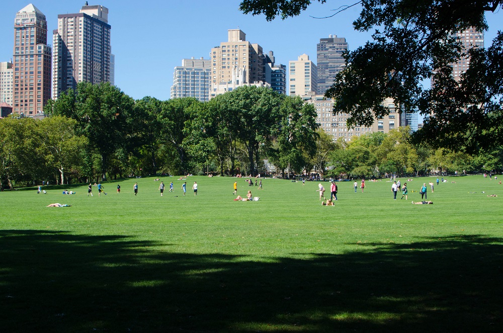 Čuveni Central Park u Njujorku postaje klimatska laboratorija